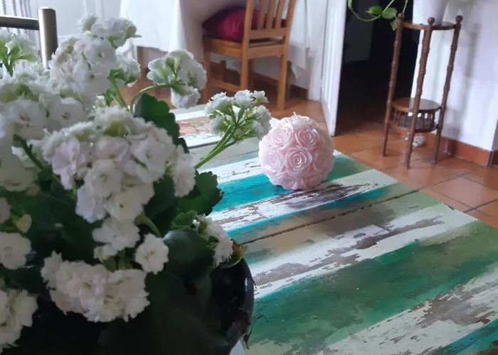 Accommodatie bij particulieren Musas Gastro